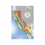 California State Map USA colored relief Wall Art 24'x36' Wall Decor Satin 