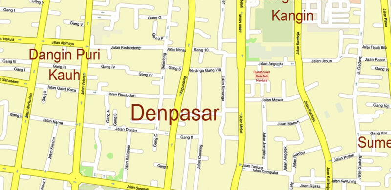 Bali Island Indonesia High Detailed Vector Map Editable Layered Adobe Illustrator + raster relief