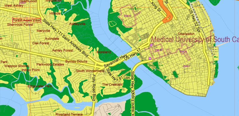 _South Carolina US Vector Map exact extra High Detailed: all Streets Roads Counties and Zipcodes fully editable Adobe Illustrator