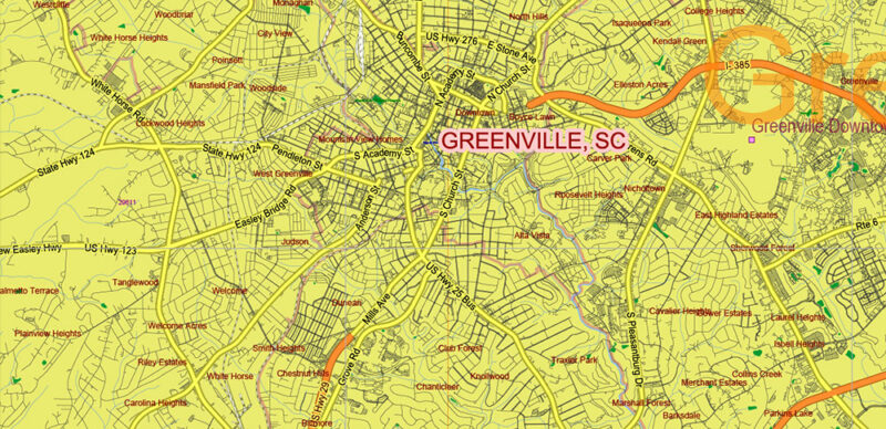 _South Carolina US Vector Map exact extra High Detailed: all Streets Roads Counties and Zipcodes fully editable Adobe Illustrator