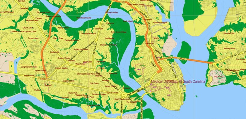 _South Carolina US Vector Map exact extra High Detailed: all Streets Roads Counties and Zipcodes fully editable Adobe Illustrator