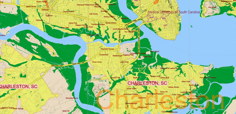 _South Carolina US Vector Map exact extra High Detailed: all Streets Roads Counties and Zipcodes fully editable Adobe Illustrator