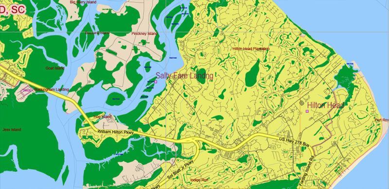 _South Carolina US Vector Map exact extra High Detailed: all Streets Roads Counties and Zipcodes fully editable Adobe Illustrator