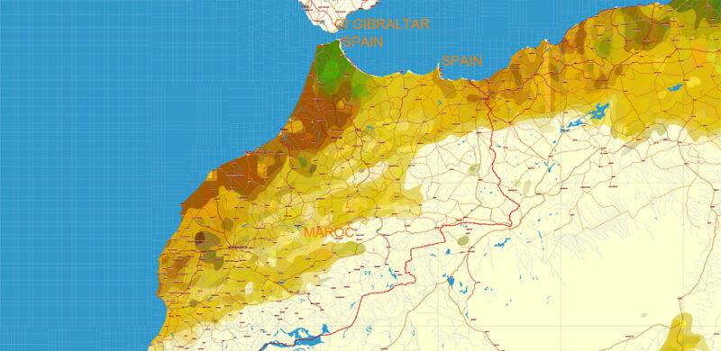 Africa full Vector Map high detailed road and political + Forest Layer, editable layered in Adobe Illustrator