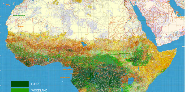 Africa full Vector Map high detailed road and political + Forest Layer, editable layered in Adobe Illustrator