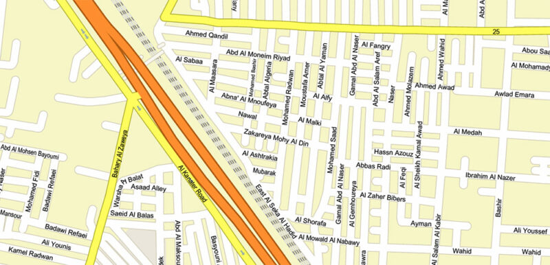 Cairo Metro Area Egypt Vector Map High Detailed Street Map (ENGLISH NAMES) Adobe Illustrator in layers