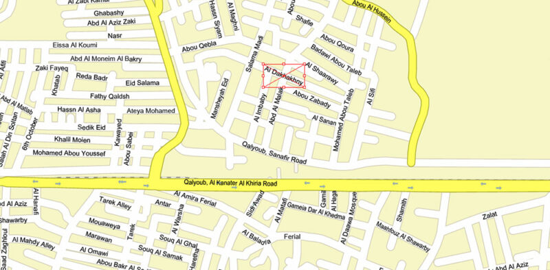 Cairo Metro Area Egypt Vector Map High Detailed Street Map (ENGLISH NAMES) Adobe Illustrator in layers