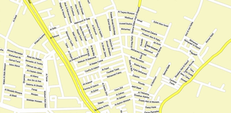 Cairo Metro Area Egypt Vector Map High Detailed Street Map (ENGLISH NAMES) Adobe Illustrator in layers