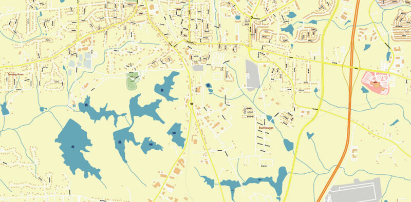 Newnan Georgia USA Map Vector Exact City Plan High Detailed Street Map editable Adobe Illustrator in layers