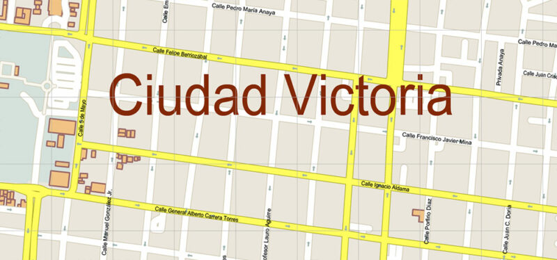 Ciudad Victoria Tamaulipas Mexico Vector Map High Detailed fully editable City Plan - Street Map Adobe Illustrator in layers