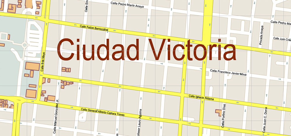 Ciudad Victoria Tamaulipas Mexico Vector Map High Detailed fully editable City Plan - Street Map Adobe Illustrator in layers