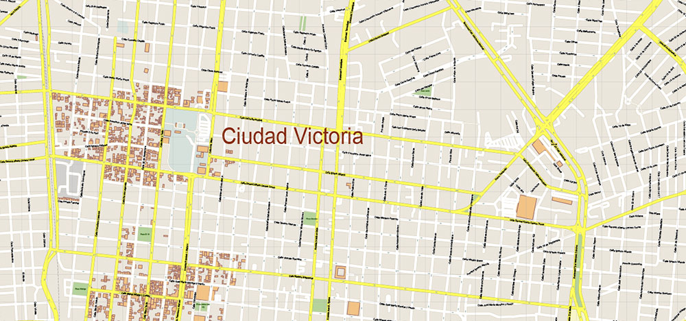 Ciudad Victoria Tamaulipas Mexico Vector Map High Detailed fully editable City Plan - Street Map Adobe Illustrator in layers
