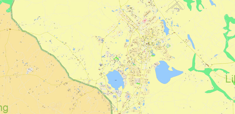 Georgia, South Carolina US Counties: Liberty, Long, McIntosh, and Glynn Map Vector Exact Extra High Detailed Street - Road Map editable Adobe Illustrator in layers