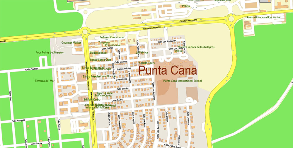 Punta Cana / Bavaro Rep. Dominicana Map Vector Exact City Plan High Detailed Street Map editable Adobe Illustrator in layers