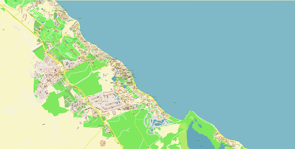 Punta Cana / Bavaro Rep. Dominicana Map Vector Exact City Plan High Detailed Street Map editable Adobe Illustrator in layers