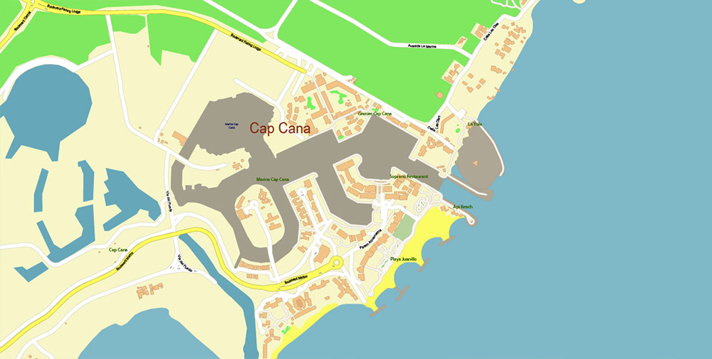 Punta Cana / Bavaro Rep. Dominicana Map Vector Exact City Plan High Detailed Street Map editable Adobe Illustrator in layers