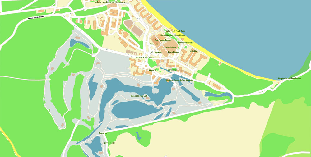 Punta Cana / Bavaro Rep. Dominicana Map Vector Exact City Plan High Detailed Street Map editable Adobe Illustrator in layers