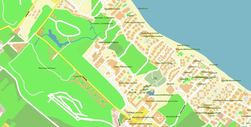 Punta Cana / Bavaro Rep. Dominicana Map Vector Exact City Plan High Detailed Street Map editable Adobe Illustrator in layers