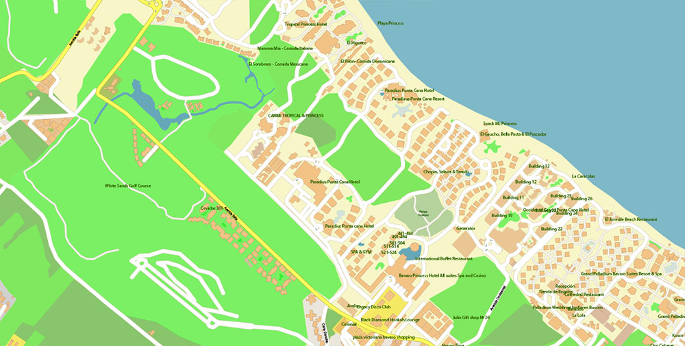 Punta Cana / Bavaro Rep. Dominicana Map Vector Exact City Plan High Detailed Street Map editable Adobe Illustrator in layers