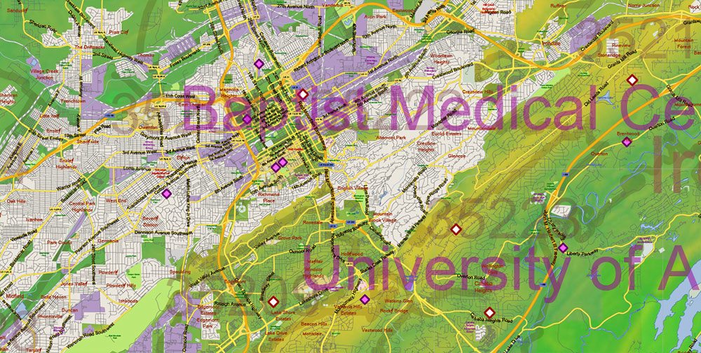 Alabama State US Map Vector Exact Colored Reliaf and Roads High Detailed Map + Counties + Zipcodes editable Adobe Illustrator in layers