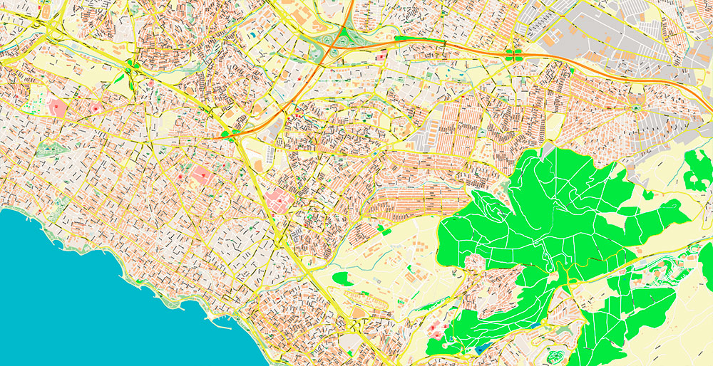 Istanbul Turkey Metro Area Map Vector Exact High Detailed Street Map editable Adobe Illustrator in layers