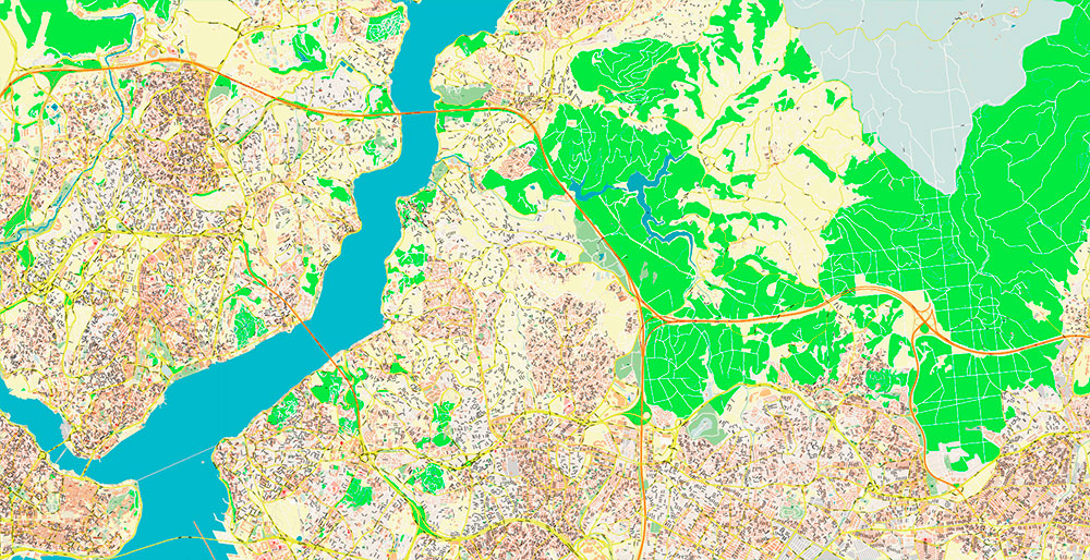 Istanbul Turkey Metro Area Map Vector Exact High Detailed Street Map editable Adobe Illustrator in layers
