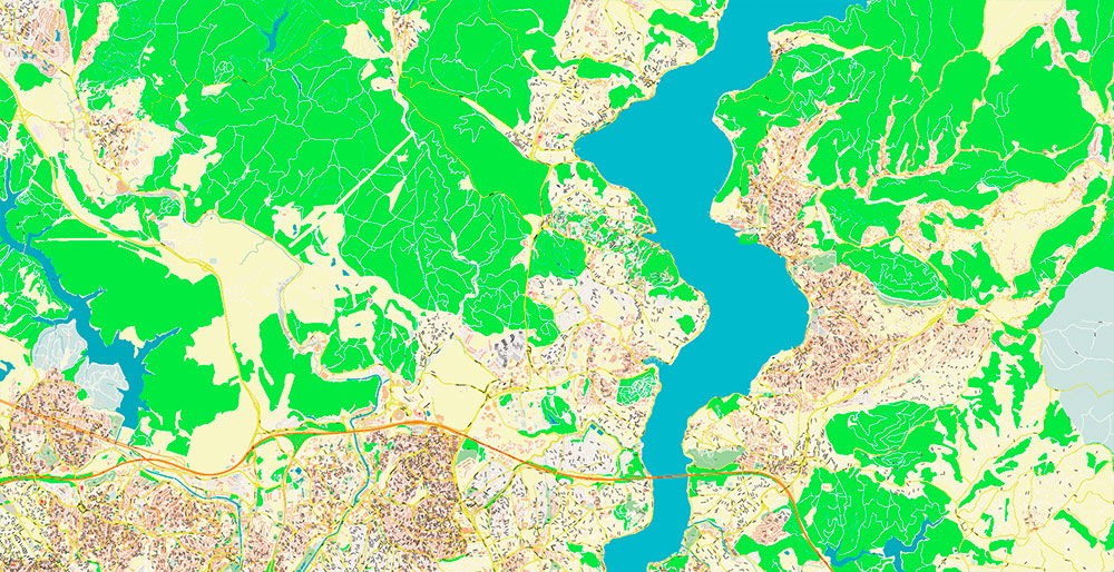 Istanbul Turkey Metro Area Map Vector Exact High Detailed Street Map editable Adobe Illustrator in layers
