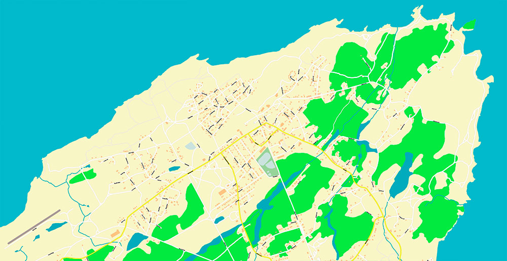 St John's Newfoundland Canada Map Vector Exact high detailed Street Road Map editable Adobe Illustrator in layers