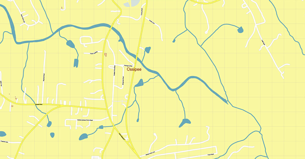 Caswell + Person Counties North Carolina USA Map Vector Exact High Detailed Road Map editable Adobe Illustrator in layers