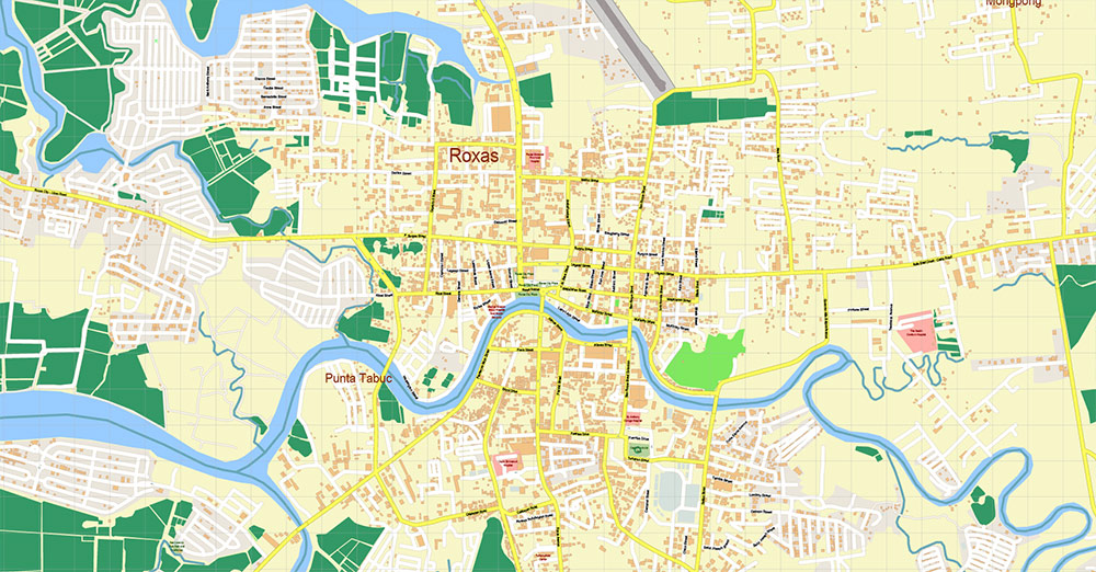 Roxas City Philippines Map Vector Exact City Plan High Detailed Street Map editable Adobe Illustrator in layers
