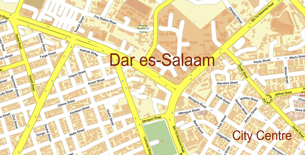 Dar Es Salaam Tanzania Map Vector Exact City Plan High Detailed Street Map editable Adobe Illustrator in layers