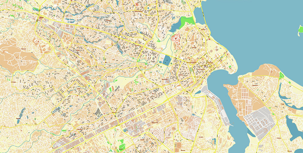 Dar Es Salaam Tanzania Map Vector Exact City Plan High Detailed Street Map editable Adobe Illustrator in layers