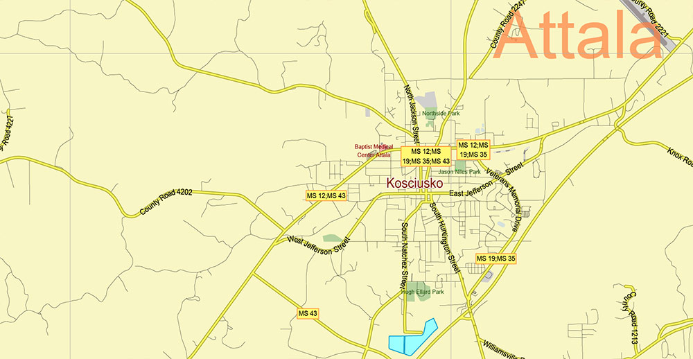 Mississippi - Louisiana - Arkansas USA Tornado Area Vector Map: high detailed road map + Shaded Relief editable Adobe Illustrator