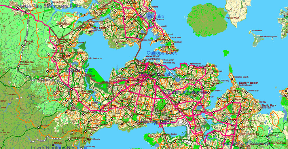 New Zealand complete country Map Vector Extra High Detailed Street Road Map + relief Isolines + Mountain Names editable Adobe Illustrator in layers