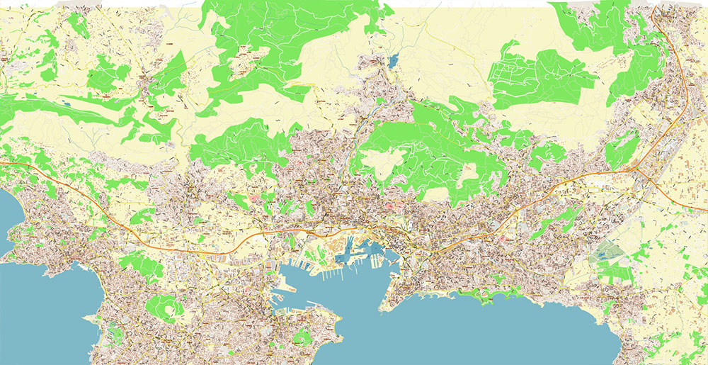Toulon France Vector Map Exact High Detailed Street Map editable Adobe Illustrator in layers