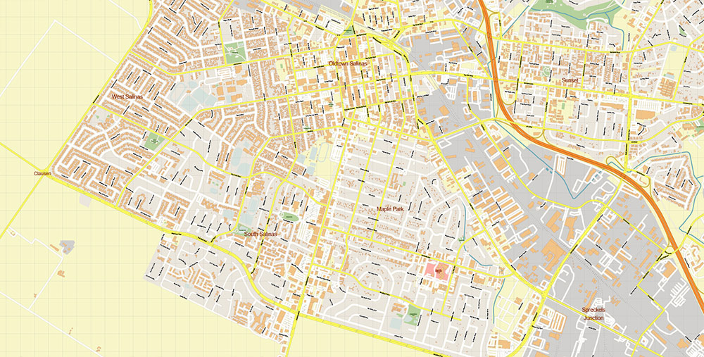Salinas California USA Vector Map: Exact High Detailed Street Map editable Adobe Illustrator in layers