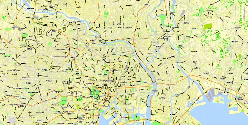 Tokyo, Japan, printable exact vector map G-View level 13 (2,000 meters) street City Plan V.3.09 full editable, Adobe Illustrator, full vector, scalable, editable text format street names, 35 mb ZIP