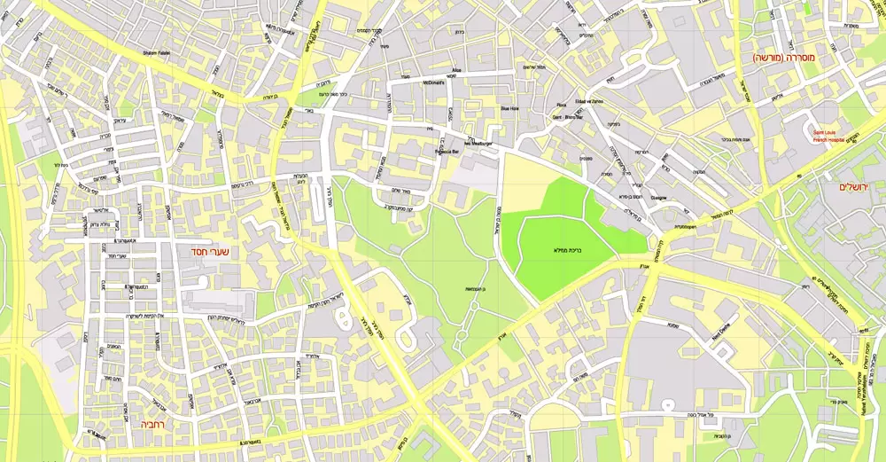 Printable Map Jerusalem, Israel, HEBREW vector map Adobe Illustrator editable G-View Level 17 (100 meters scale) V.07.01.17, full vector, scalable, hebrew curves format street names, 18 mb ZIP