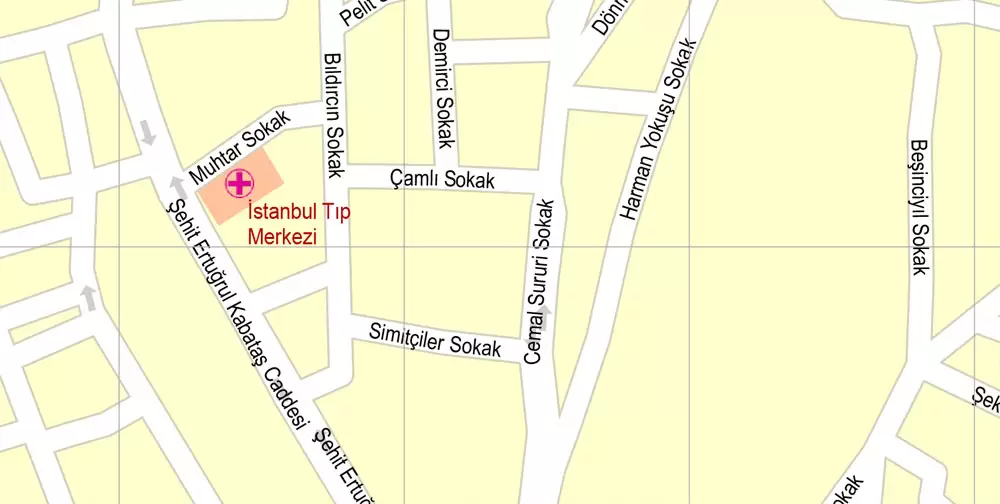 Printable Vector Map Istanbul, Turkey, exact City Plan, street G-View Level 17 (100 meters scale) map, fully editable, Adobe Illustrator