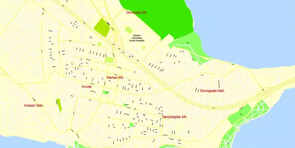 Printable Vector Map Istanbul, Turkey, exact City Plan, street G-View Level 17 (100 meters scale) map, fully editable, Adobe Illustrator