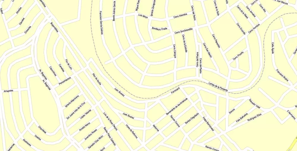 Printable Map Zacatecas, Mexico exact vector Map street G-View City Plan Level 17 (100 meters scale) full editable, Adobe Illustrator