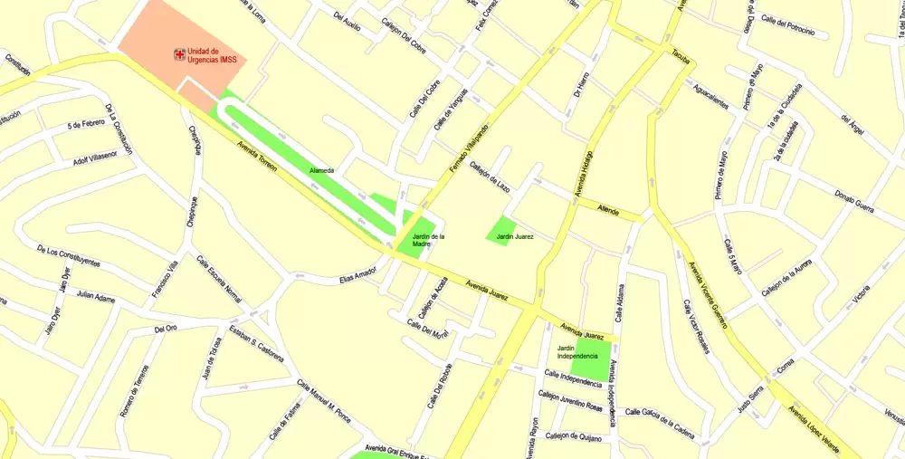 Printable Map Zacatecas, Mexico exact vector Map street G-View City Plan Level 17 (100 meters scale) full editable, Adobe Illustrator