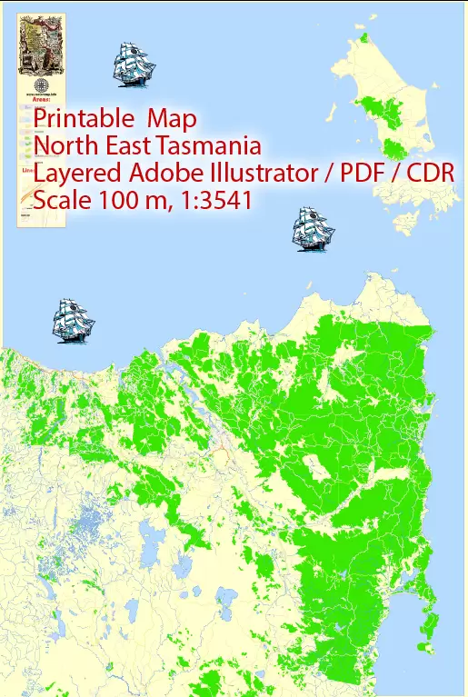 Printable Map North East Tasmania, exact vector City Plan Map street G-View Level 17 (100 meters scale 1:3541) full editable, Adobe Illustrator