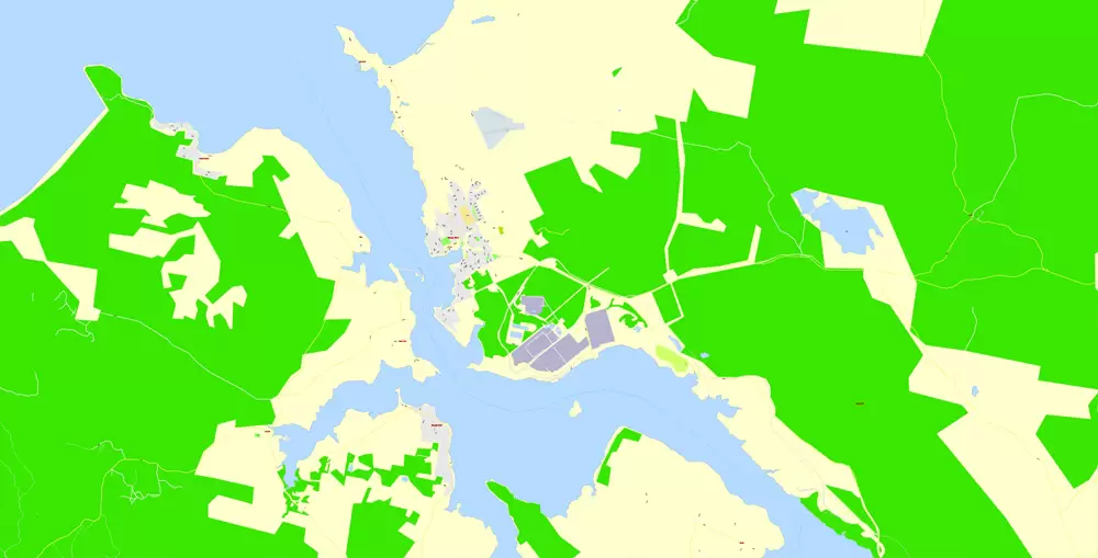 Printable Map North East Tasmania, exact vector City Plan Map street G-View Level 17 (100 meters scale 1:3541) full editable, Adobe Illustrator