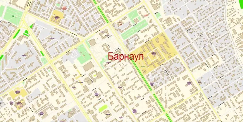 Барнаул + Новоалтайск векторная карта Россия подробная редактируемая в слоях, Adobe Illuetrator
