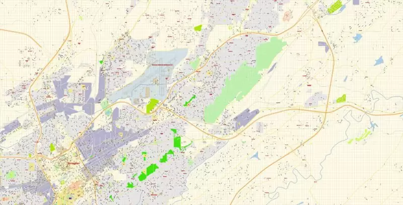 Birmingham Map Vector Exact City Plan + University of Alabama detailed Street Map Adobe Illustrator in layers