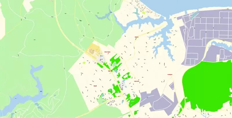 Printable Vector Map of Newport News + Norfolk + Chesapeak + Suffolk + Virginia Beach + Hampton Virginia US detailed City Plan scale 1:3752 full editable Adobe Illustrator Street Map in layers