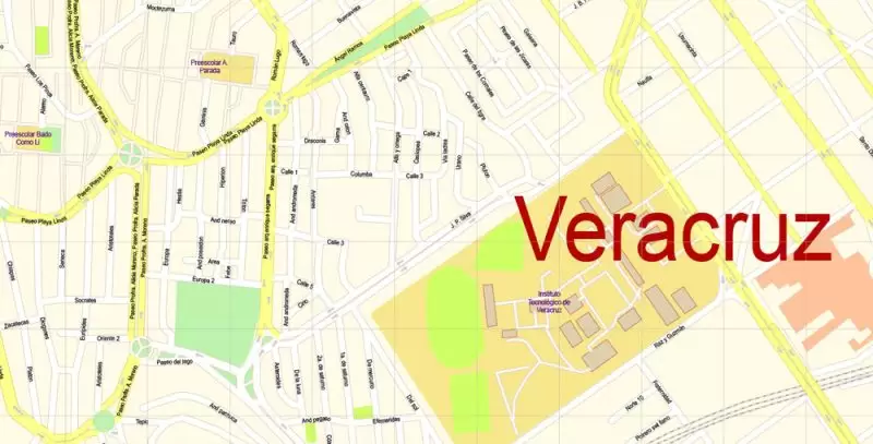Veracruz Map Vector Exact City Plan Mexico detailed Street Map editable Adobe Illustrator in layers