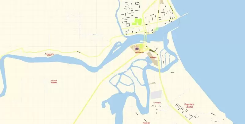 Veracruz Map Vector Exact City Plan Mexico detailed Street Map editable Adobe Illustrator in layers