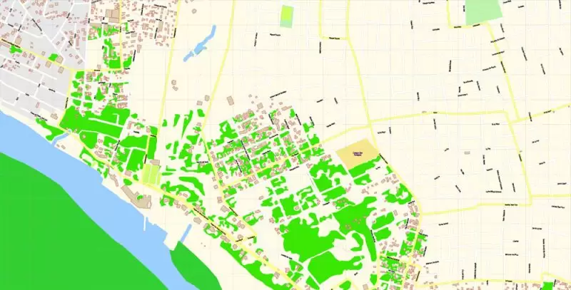 Asuncion Paraguay Map Vector Exact City Plan detailed Street Map editable Adobe Illustrator in layers